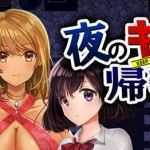 晚上危险的回家路 ver2.00 精翻汉化版 PC+安卓+存档 RPG游戏 950M - 万千少女游戏网-万千少女游戏万千少女游戏网