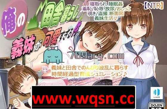 【互动SLG/生肉】我和住在乡下的弟媳妇OO的事 DL正式版【PC+安卓JOI/400M】 - 万千少女游戏网-万千少女游戏万千少女游戏网