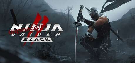 忍者龙剑传2：黑之章NINJA GAIDEN 2 Black v1.0.0官方中文-万千少女游戏万千少女游戏网